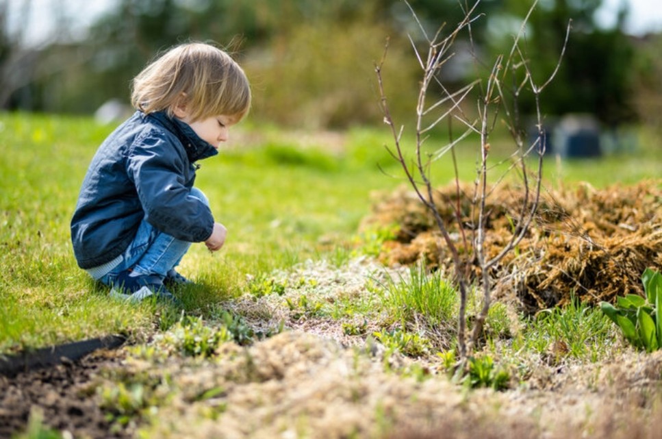 Eco-Friendly Yards in new jersey